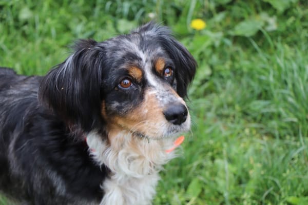 Missy (réservée)