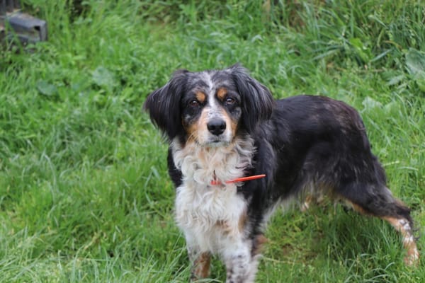 Missy (réservée)
