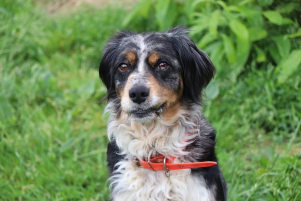Missy (réservée)