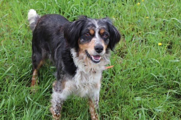 Missy (réservée)