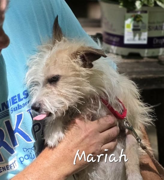 Mariah