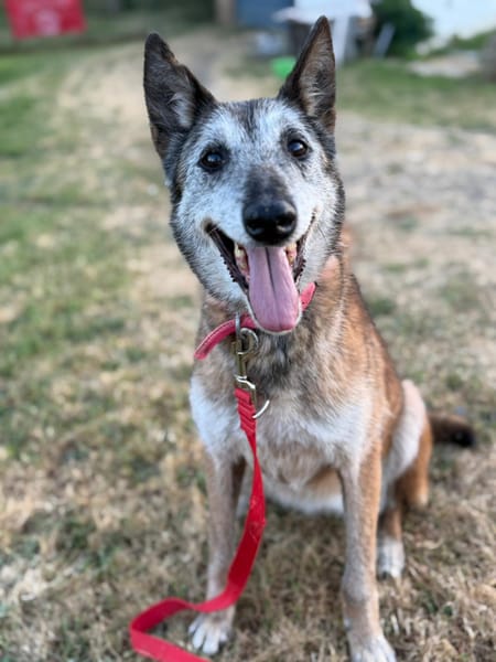 Melba