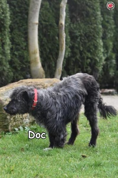 Doc