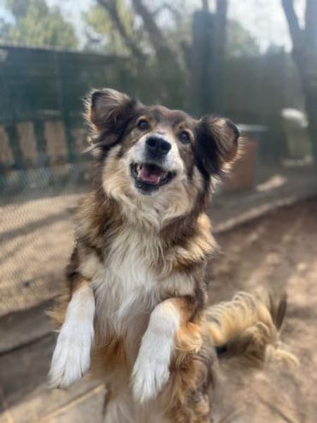 Freya