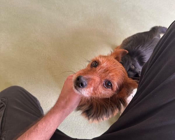 PACO