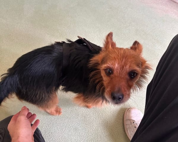 PACO