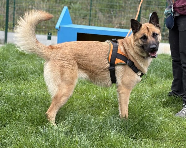 NALA