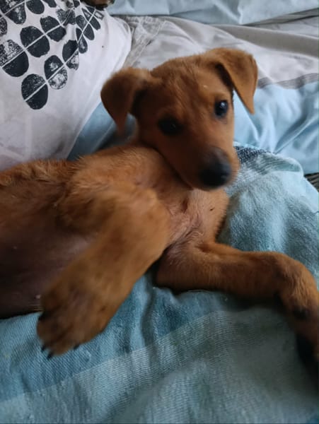 Milo le beau gosse