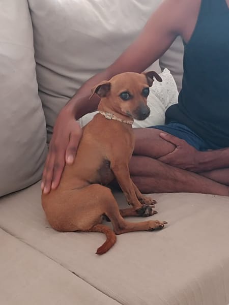 Roxy la mamaie coquine