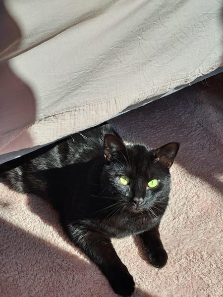 Salem