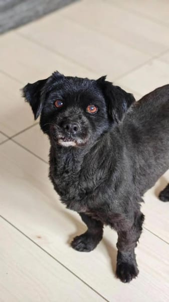 💖Casimira💖 sucht ein schönes Zuhause