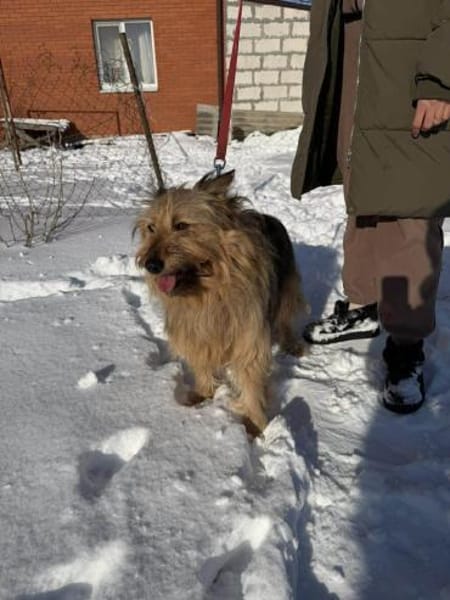 Betty sucht ihr liebevolles Zuhause