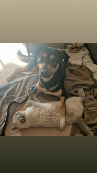Maylo sucht dringend einen neuen Platz