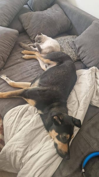 Maylo sucht dringend einen neuen Platz