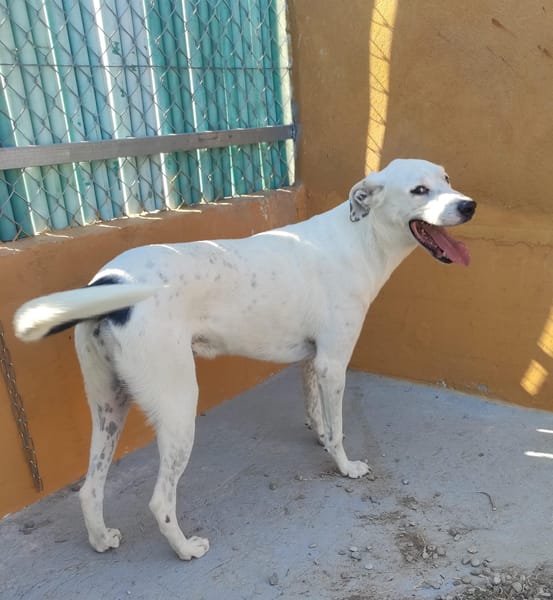 YIN (Maria)
