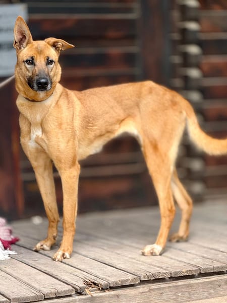 SALMA (Maria)