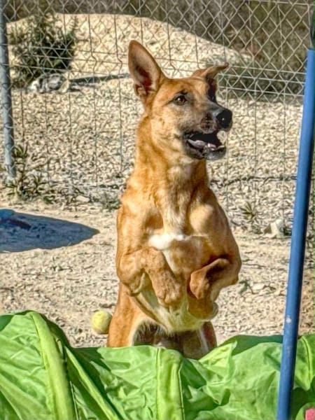 SALMA (Maria)