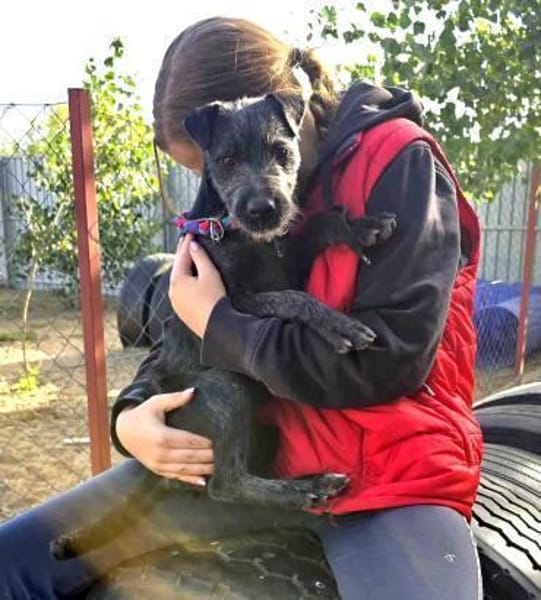 Lenora Kleine Herzensbrecherin sucht ihr