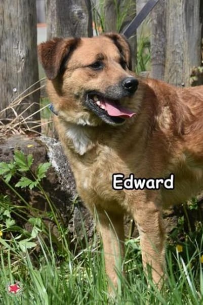 EDWARD