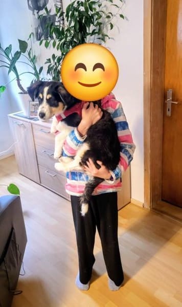 Cody der kleine Kokoni-Mix