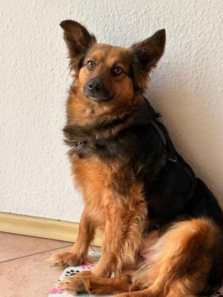 Kleine Nahla sucht ihr Glück 🍀