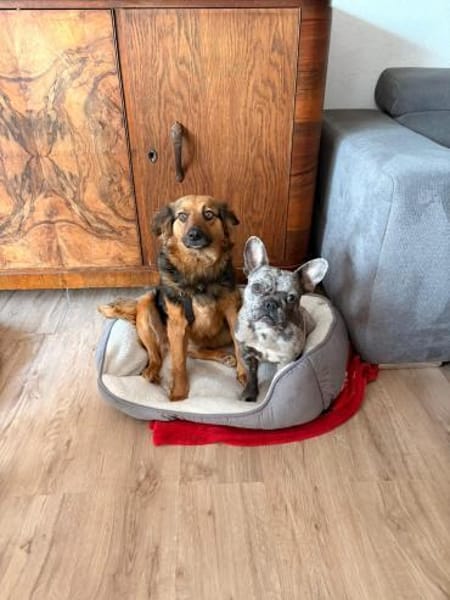 Kleine Nahla sucht ihr Glück 🍀