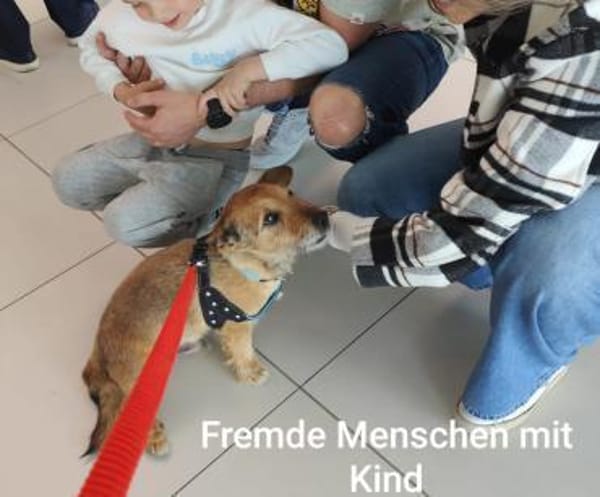 Senior Bobby-Blue s.passende Menschen