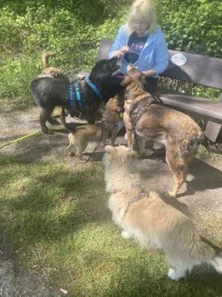 Cassandra❤ Körbchen gesucht