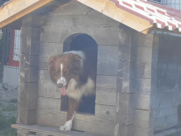 BAIKO