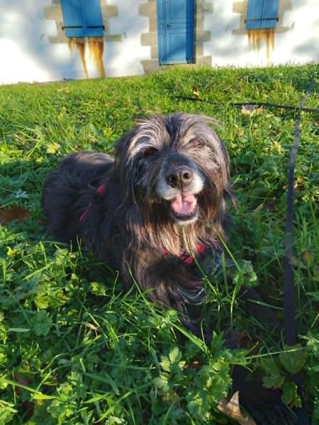 Max