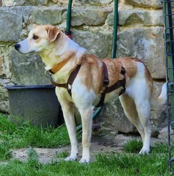 LOVELYN -sucht erfahrene Menschen-