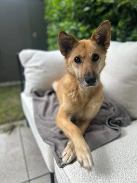 Galina sucht besondere Menschen