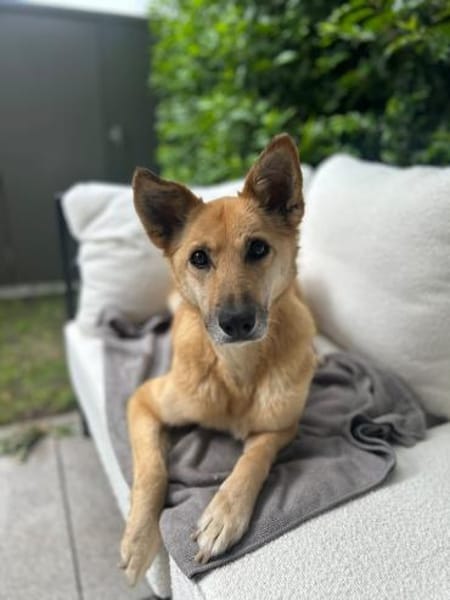 Galina sucht besondere Menschen