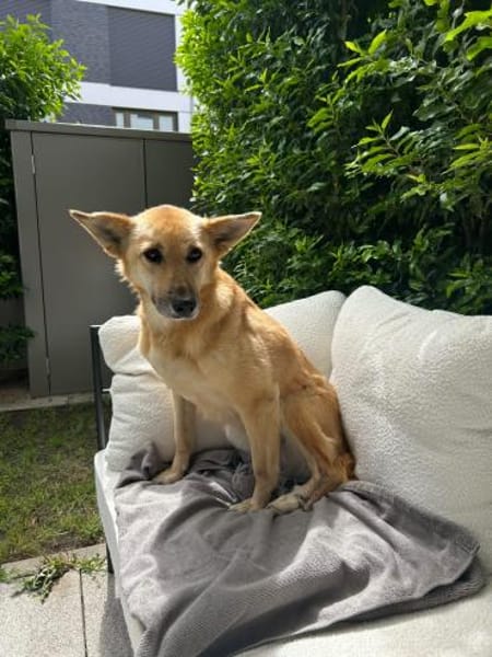 Galina sucht besondere Menschen
