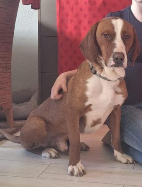 Tommy sucht seine Menschen