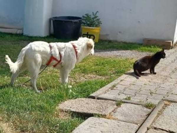 Cash freut sich auf Sie!