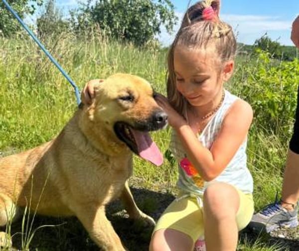 LENY - Goldschatz sucht Zuhause