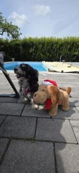 Paula , kleine Prinzessin