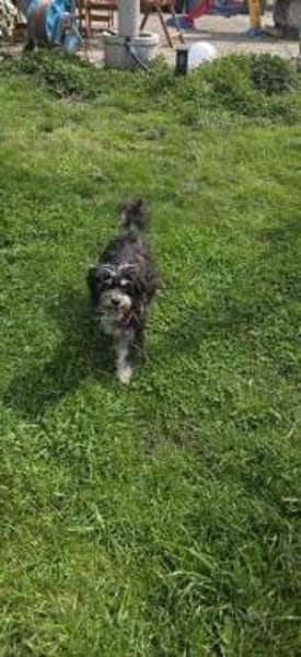 Paula , kleine Prinzessin