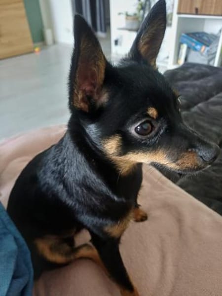 Luna sucht Neustart
