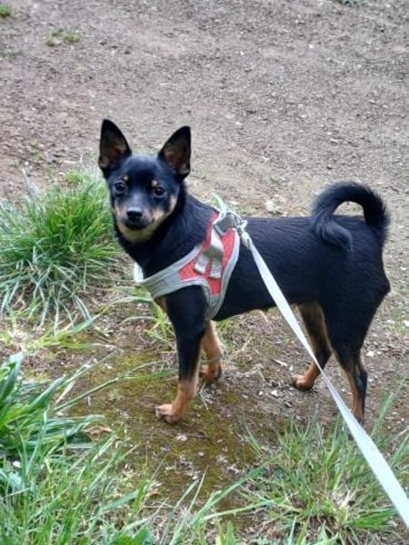 Luna sucht Neustart