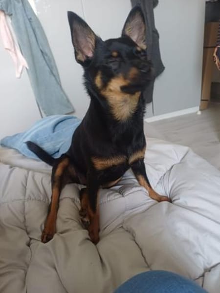Luna sucht Neustart