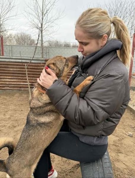 Prometeusz -Sensibler Hund