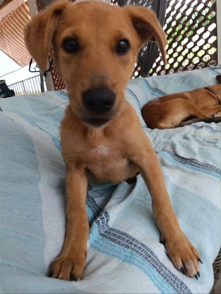 Milo le beau gosse