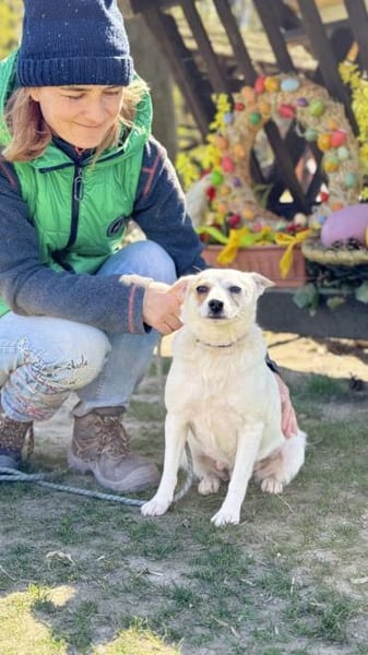 TINKA, Mix, geb. 05/2025
