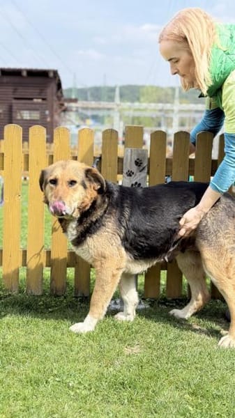 ZILI, Mix, geb. 03/2019