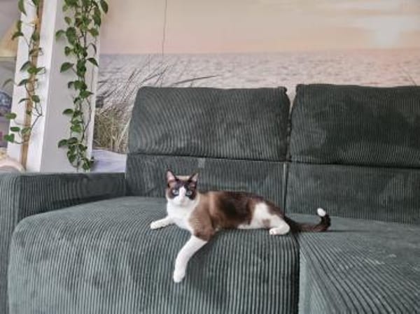 Charmeur Jerry in Pechbrunn(ALO)