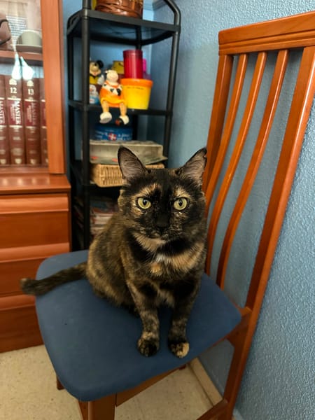 LUCY