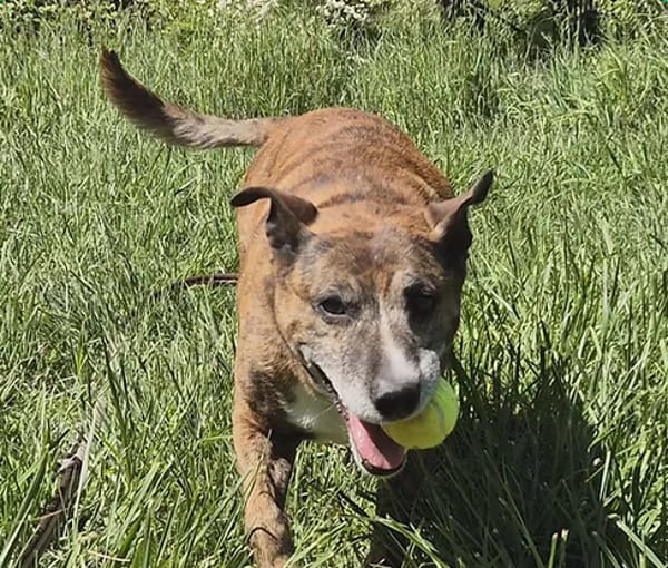 Max