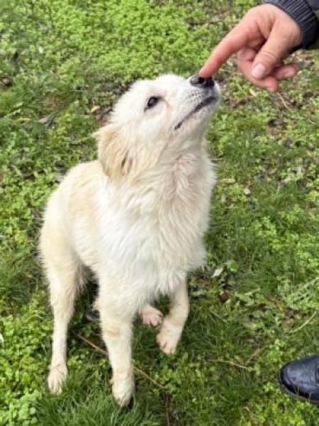 SWEETY will endlich leben dürfen
